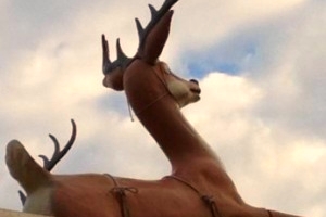 Reindeer lawn ornament with sky in background
