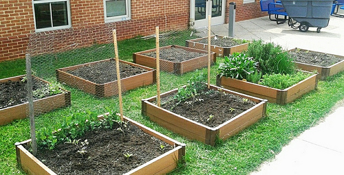 Westover's raised garden beds