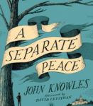 cover of "A Separate Peace"