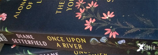 cropped image of the spines of "Once Upon a River"