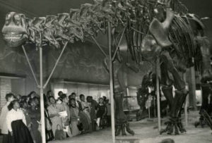 Photo of dinosaur skeleton at the Museum of Natural History with high school class from Hoffman-Boston