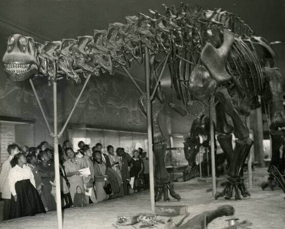 Photo of dinosaur skeleton at the Museum of Natural History with high school class from Hoffman-Boston