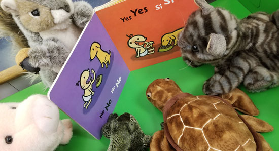 photo of stuffed animals reading