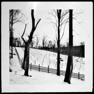 bare trees on a snowy hill next to a wood fence in winter