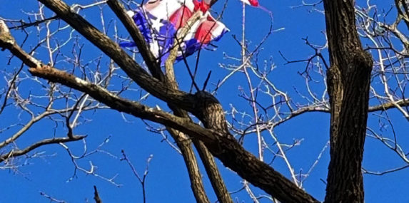 On a walk I saw this kite impaled on a tree. The gripping branches reminded me of how I have felt during this pandemic: tangled and trapped. The fact that the pattern on the kite is the Stars and Stripes expands that feeling to what my fellow citizens must be experiencing too. It might seem a bleak image, but a strong wind will free the kite. Our resolve to social distance is the strong wind that will eventually free us from this pandemic.