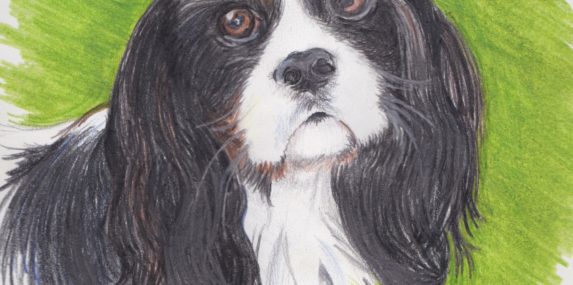 In the midst of these strange and challenging times, our pets give us unconditional love and support. They encourage socialization—however distant—and give us love and affection. Oreo is cuddly and sweet; this drawing shows his calm demeanor and pleasant personality.