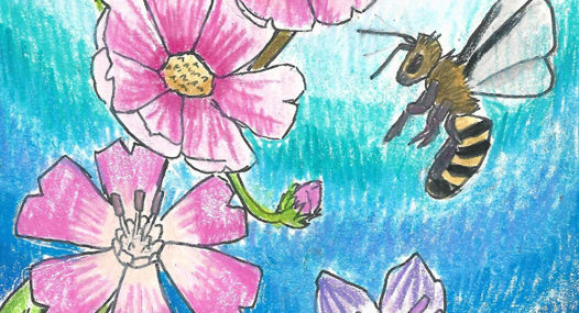 Flowers and a bug in colored pencil.