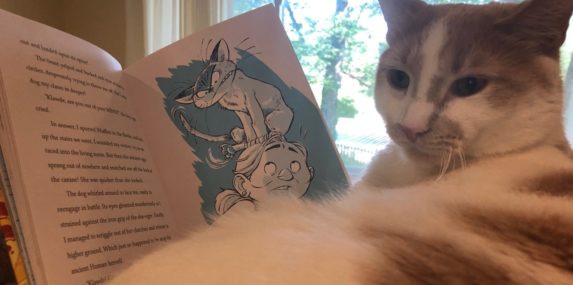 Here is Toasted Coconut reading Book 3 of "Klawde: Evil Alien Warlord Cat" and gleaning new ideas for his nefarious plot to take over the world.