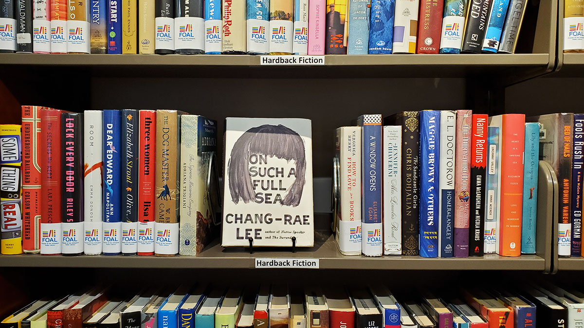 Shelves of used books.