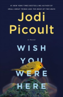 link to "Read-Alikes for Wish You Were Here" booklist