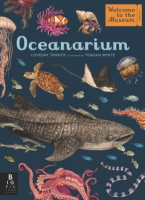 link to "Oceans of Possibilities Elementary and Middle Grade" booklist