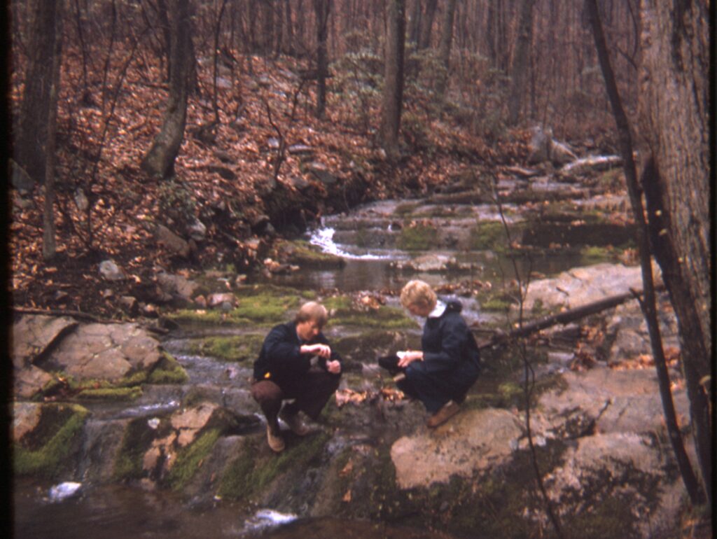 Visitors exploring a stream at the Arlington Outdoor Education Association Lab.