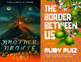 Composite of 2 book covers.