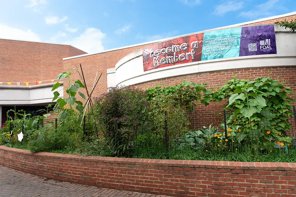 Vegetable and native plant garden beds outside Central Library, with tall sunflowers and other greenery growing along a curved brick wall beneath a “Become a Member!” banner.