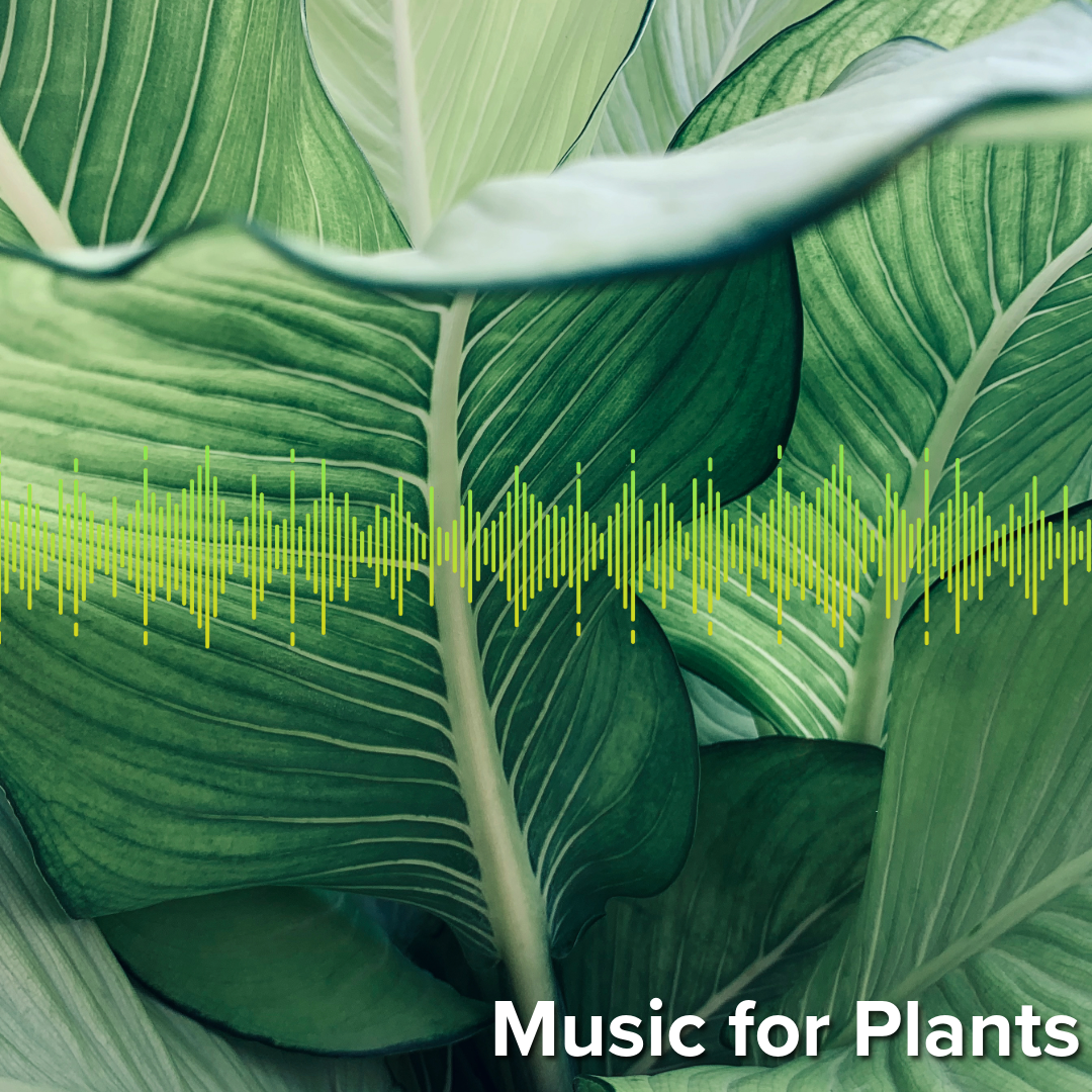 music for plants playlist