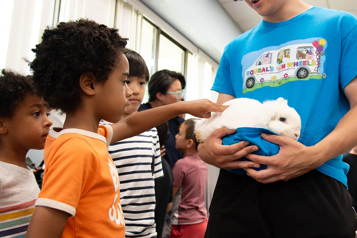 A child gently pets a rabbit at the Squeals on Wheels petting zoo.
