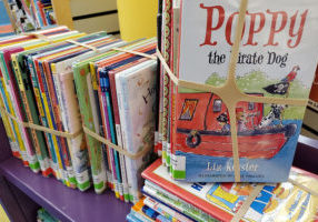 Book Bundles of Early Reader books