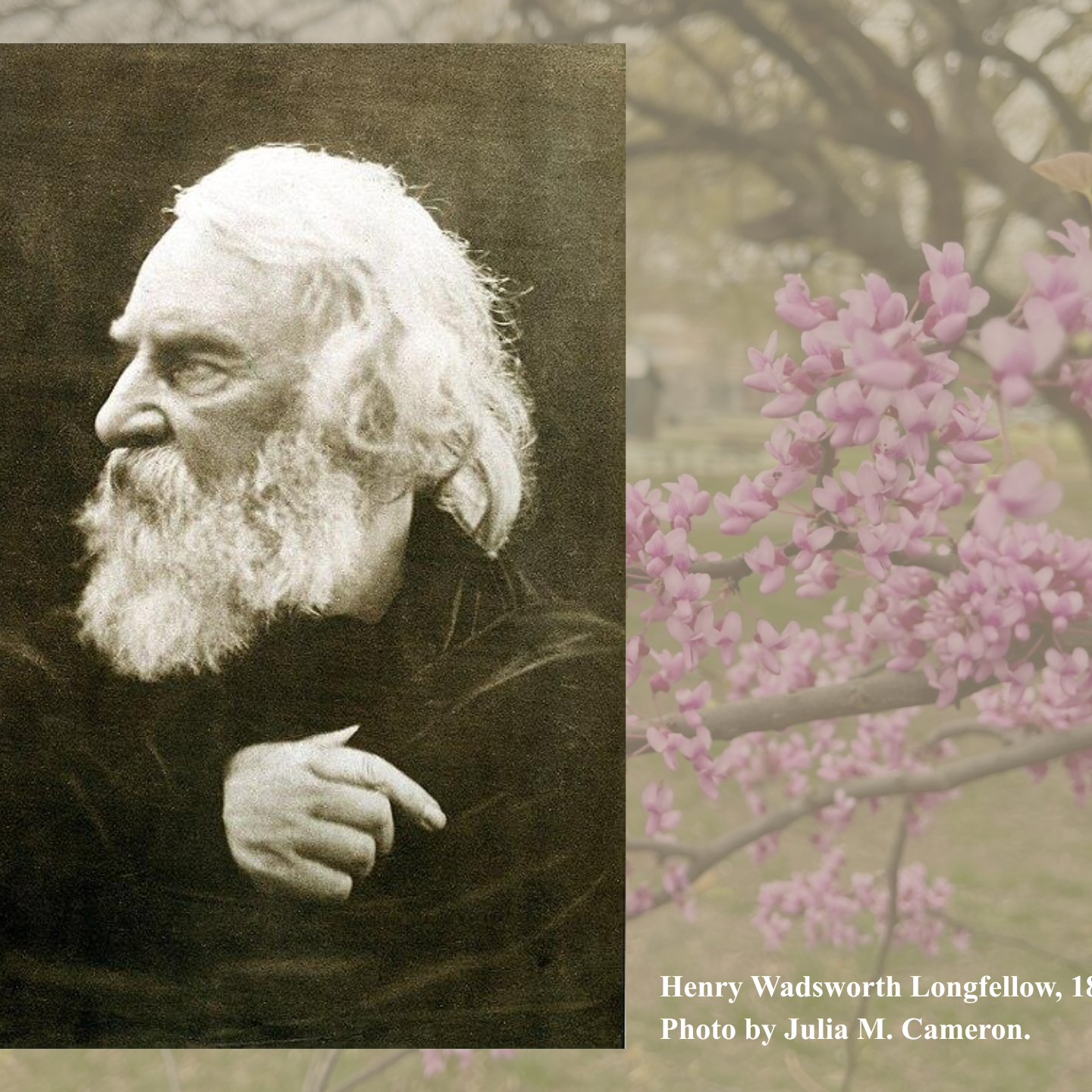Henry Wadsworth Longfellow.