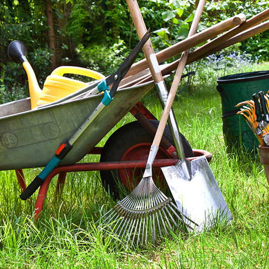Photo of garden tools.